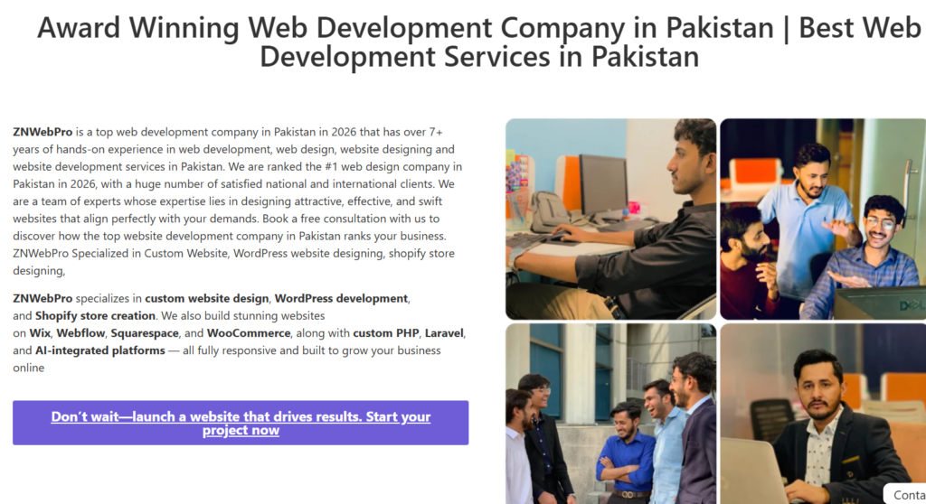 znwebpro-seo-company